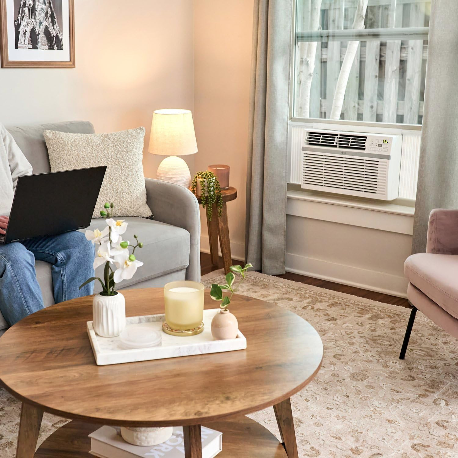 LG 12,000 BTU Window Air Conditioner with Remote , Wifi App, Ultra-Quiet, Washab
