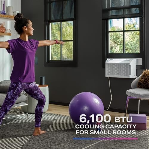 GE Profile ClearView 6,100 BTU Smart Ultra Quiet Window Air Conditioner
