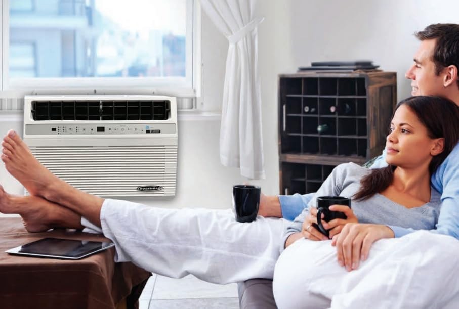 12,000 BTU Window Air Conditioner with 10,000 BTU Heater, Cooling, 115 Volts,