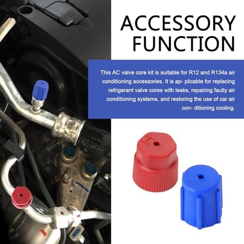 17 PCS Air Conditioning Valve Core Kit, R12 R134A A/C Ducts Pressure Caps and