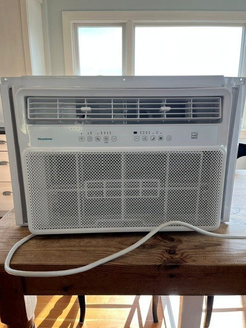 Extra Large Room Air Conditioner with Remote (24,000 BTU, 230-volt)