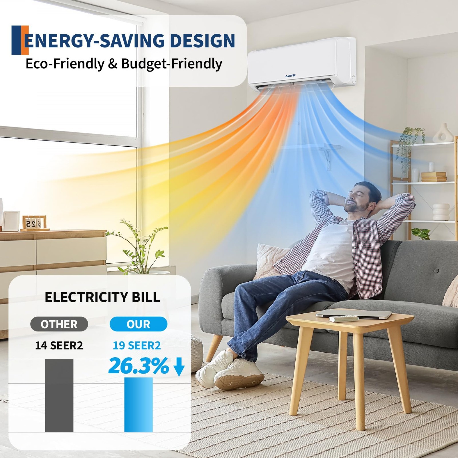 24000 BTU Ductless Mini Split AC Heater 19 SEER2 WiFi Alexa 230V