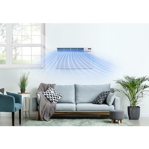 LG 11,800 BTU 115V Through the Wall Air Conditioner, LT12124CNR – WHITE